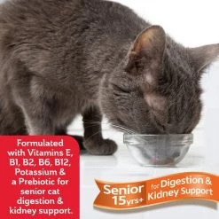 Hartz Delectables Bisque Senior 15+ Tuna & Chicken Lickable Cat Treat -Hart FurHavOfficial Shop 106205 PT4. SY630 V1615250236