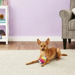 Hartz Frisky Frolic Squeaky Latex Dog Toy, Color Varies -Hart FurHavOfficial Shop 106234 PT2. SY630 V1589229524