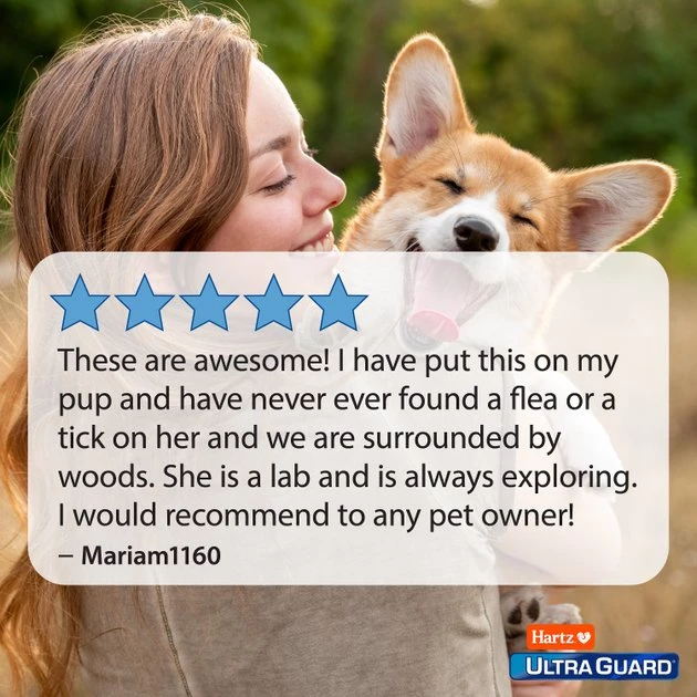 Hartz UltraGuard Plus Flea & Tick Collar for Dogs, Medium & Large Breeds 9 Hartz UltraGuard Plus Flea & Tick Collar for Dogs, Medium & Large Breeds - Image 7