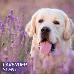 Hartz Home Protection Lavender Scent Odor Eliminating Dog Pads, XXL -Hart FurHavOfficial Shop 132715 PT6. SY630 V1649935948