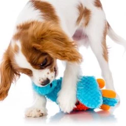 Hartz Squeak & Treat Duck Squeaky Treat Dispenser Dog Toy, Color Varies 15 Hartz Squeak & Treat Duck Squeaky Treat Dispenser Dog Toy, Color Varies -Hart FurHavOfficial Shop 139095 PT4. SY630 V1589229829