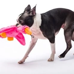 Hartz Squeak & Treat Duck Squeaky Treat Dispenser Dog Toy, Color Varies 19 Hartz Squeak & Treat Duck Squeaky Treat Dispenser Dog Toy, Color Varies -Hart FurHavOfficial Shop 139095 PT8. SY630 V1589229756