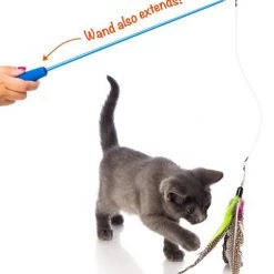 Hartz Just For Cats Kitty Caster Cat Wand Toy with Catnip, Color Varies -Hart FurHavOfficial Shop 139105 PT3. SY630 V1589230932