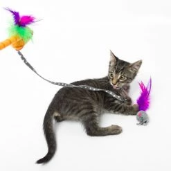 Hartz Just For Cats Twirl & Whirl Cat Wand Toy with Catnip, Color Varies -Hart FurHavOfficial Shop 139109 PT3. SY630 V1589230969