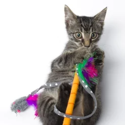 Hartz Just For Cats Twirl & Whirl Cat Wand Toy with Catnip, Color Varies -Hart FurHavOfficial Shop 139109 PT4. SY630 V1589230971