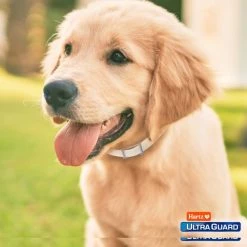 Hartz UltraGuard Plus Dog Flea & Tick Collar for Dogs, X-Small & Toy & Small Breeds -Hart FurHavOfficial Shop 145752 PT7. SY630 V1648624894