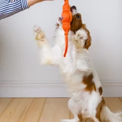 Hartz Tuff Stuff Fetch & Tug Squeaky Dog Toy, Color Varies -Hart FurHavOfficial Shop 145951 PT3. SY630 V1589231035