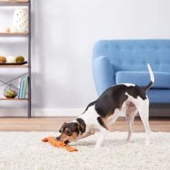 Hartz Tuff Stuff Fetch & Tug Squeaky Dog Toy, Color Varies -Hart FurHavOfficial Shop 145951 PT4. SY630 V1589231043