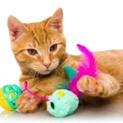 Hartz Just For Cats Super Hunters Cat Toy Variety Pack, 13 count 9 Hartz Just For Cats Super Hunters Cat Toy Variety Pack, 13 count -Hart FurHavOfficial Shop 145966 PT2. SY630 V1589231164