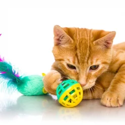 Hartz Just For Cats Super Hunters Cat Toy Variety Pack, 13 count 10 Hartz Just For Cats Super Hunters Cat Toy Variety Pack, 13 count -Hart FurHavOfficial Shop 145966 PT3. SY630 V1589231172