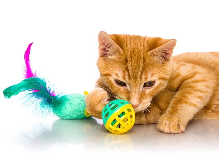 Hartz Just For Cats Super Hunters Cat Toy Variety Pack, 13 count 6 Hartz Just For Cats Super Hunters Cat Toy Variety Pack, 13 count - Image 4