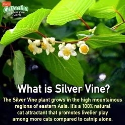 Hartz Cattraction Silver Vine & Catnip Gator Cat Scratcher Toy, Color Varies -Hart FurHavOfficial Shop 161051 PT4. SY630 V1637163093