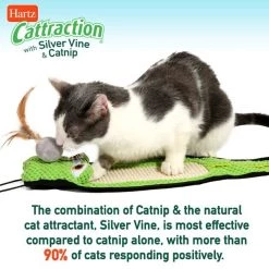 Hartz Cattraction Silver Vine & Catnip Gator Cat Scratcher Toy, Color Varies -Hart FurHavOfficial Shop 161051 PT7. SY630 V1637163140