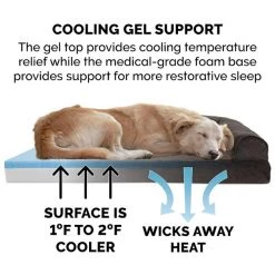 FurHaven Faux Fleece Cooling Gel Bolster Dog Bed w/Removable Cover 14 FurHaven Faux Fleece Cooling Gel Bolster Dog Bed w/Removable Cover -Hart FurHavOfficial Shop 173069 PT6. SY630 V1583520779