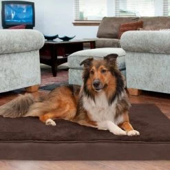 FurHaven Terry Deluxe Memory Foam Pillow Cat & Dog Bed w/Removable Cover