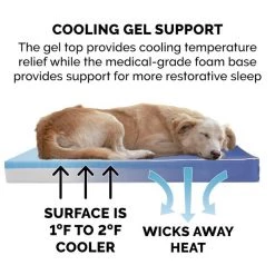 FurHaven Indoor/Outdoor Solid Cooling Gel Cat & Dog Bed w/Removable Cover 17 FurHaven Indoor/Outdoor Solid Cooling Gel Cat & Dog Bed w/Removable Cover -Hart FurHavOfficial Shop 178852 PT6. SY630 V1603337497