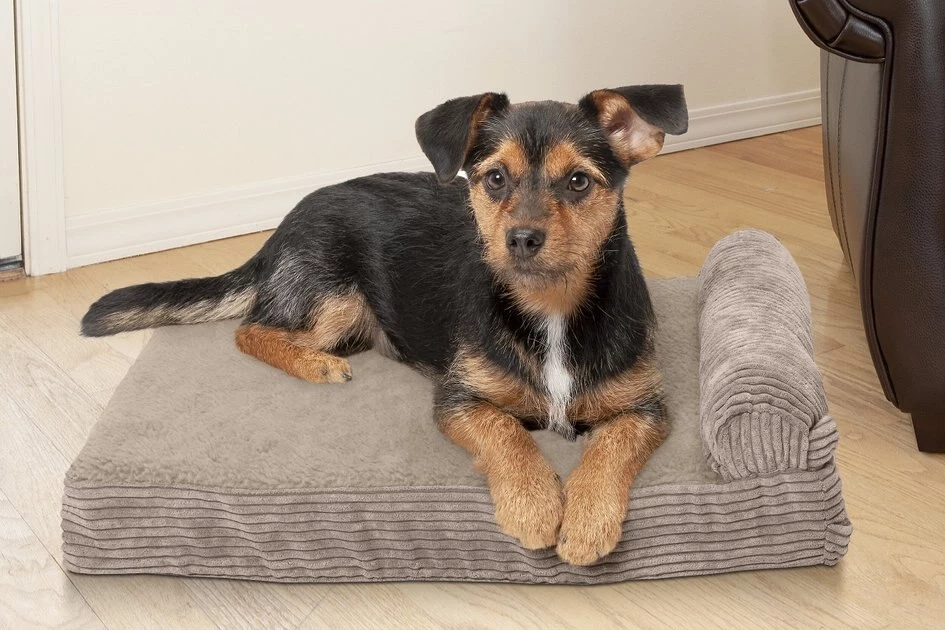 FurHaven Chaise Lounge Memory Top Cat & Dog Bed w/Removable Cover 3 FurHaven Chaise Lounge Memory Top Cat & Dog Bed w/Removable Cover