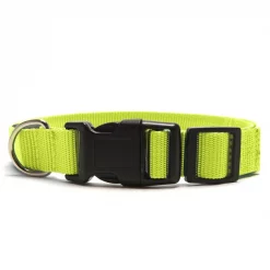 FurHaven Pet LED Safety Dog Collar