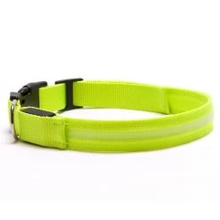 FurHaven Pet LED Safety Dog Collar -Hart FurHavOfficial Shop 198734 PT4. SY630 V1568297591