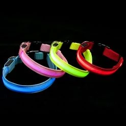 FurHaven Pet LED Safety Dog Collar -Hart FurHavOfficial Shop 198734 PT6. SY630 V1568297578