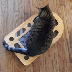 FurHaven Busy Box Corrugated Archway Cat Scratcher Toy with Catnip -Hart FurHavOfficial Shop 199045 pt2. SY630 V1587156060