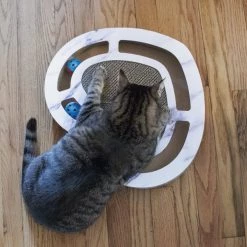 FurHaven Busy Box Corrugated Heart-Shaped Cat Scratcher Toy with Catnip 11 FurHaven Busy Box Corrugated Heart-Shaped Cat Scratcher Toy with Catnip -Hart FurHavOfficial Shop 199047 pt2. SY630 V1587156082