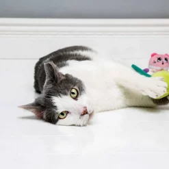 Hartz Cattraction Silver Vine & Catnip Plush Macaron Mice Cat Toy, 2 count 14 Hartz Cattraction Silver Vine & Catnip Plush Macaron Mice Cat Toy, 2 count -Hart FurHavOfficial Shop 201261 PT3. SY630 V1637163158