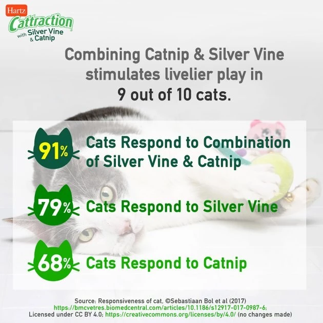 Hartz Cattraction Silver Vine & Catnip Plush Macaron Mice Cat Toy, 2 count 8 Hartz Cattraction Silver Vine & Catnip Plush Macaron Mice Cat Toy, 2 count - Image 6
