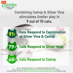 Hartz Cattraction Silver Vine & Catnip Plush Animal Pal Kicker Plush Cat Toy, Character Varies -Hart FurHavOfficial Shop 201263 PT5. SY630 V1637163224
