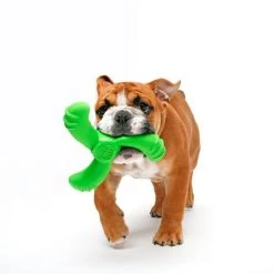 Hartz Dura Play Boomerang Bacon Scented Squeaky Latex Dog Toy, Color Varies -Hart FurHavOfficial Shop 222813 pt3. SY630 V1589231627