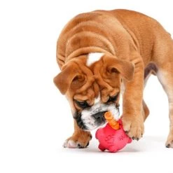 Hartz Tuff Stuff Treat Hogging Piglet Treat Dispenser Dog Toy, Color Varies -Hart FurHavOfficial Shop 222815 PT4. SY630 V1589231931