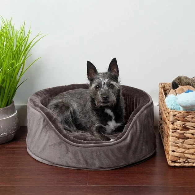 FurHaven Plush & Velvet Orthopedic Bolster Cat & Dog Bed w/Removable Cover 3 FurHaven Plush & Velvet Orthopedic Bolster Cat & Dog Bed w/Removable Cover