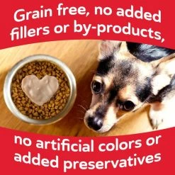 Hartz Delectables Squeeze Up Chicken Dog Lickable Treats, 0.5-oz pouch, case of 32 18 Hartz Delectables Squeeze Up Chicken Dog Lickable Treats, 0.5-oz pouch, case of 32 -Hart FurHavOfficial Shop 258676 PT7. SY630 V1644277066