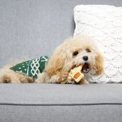 Hartz Chew ‘n Clean Chew Chicken Flavored Tri-Point Dog Treat & Chew Toy -Hart FurHavOfficial Shop 272245 PT4. SY630 V1618948359