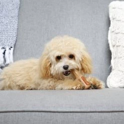 Hartz Chew ‘n Clean Chicken Flavored Drumstick Dog Treat & Chew Toy -Hart FurHavOfficial Shop 272248 PT4. SY630 V1618948386