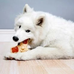 Hartz Chew ‘n Clean Chew Chicken Flavored Tri-Point Treat & Chew Toy + Oinkies 5" Pig Skin Twists Real Smoked Flavor Dog Treats 15 Hartz Chew ‘n Clean Chew Chicken Flavored Tri-Point Treat & Chew Toy + Oinkies 5" Pig Skin Twists Real Smoked Flavor Dog Treats -Hart FurHavOfficial Shop 338717 PT4. SY630 V1635900711