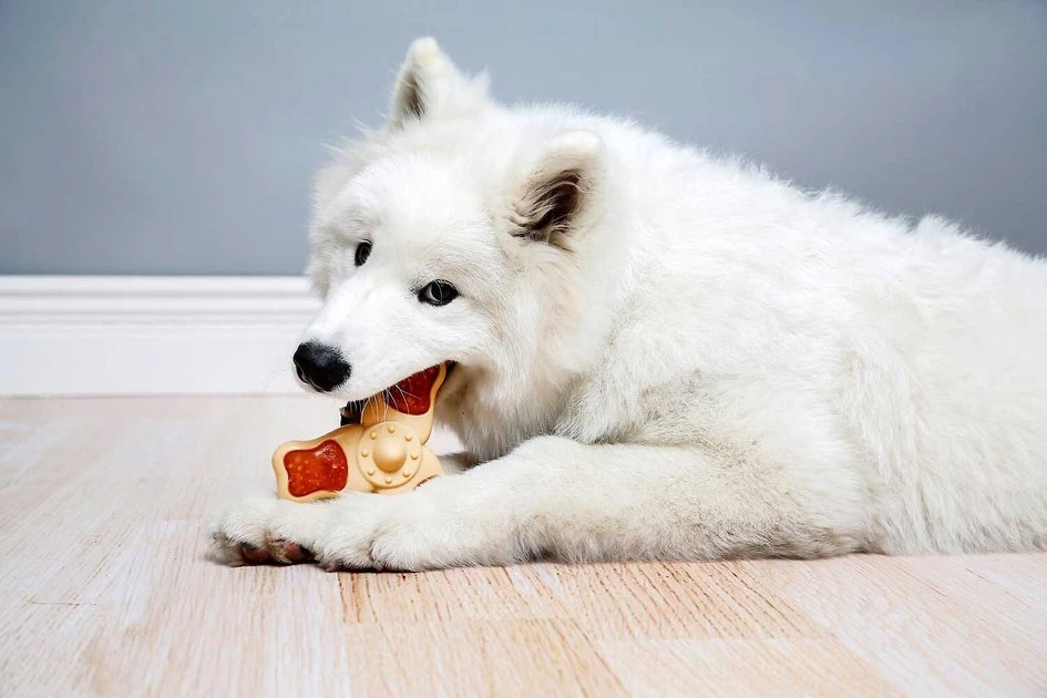 Hartz Chew ‘n Clean Chew Chicken Flavored Tri-Point Treat & Chew Toy + Oinkies 5" Pig Skin Twists Real Smoked Flavor Dog Treats 7 Hartz Chew ‘n Clean Chew Chicken Flavored Tri-Point Treat & Chew Toy + Oinkies 5" Pig Skin Twists Real Smoked Flavor Dog Treats - Image 5