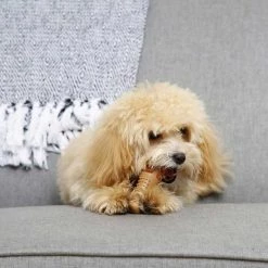 Hartz Chew 'n Clean Chicken Flavored Drumstick Treat & Chew Toy + Oinkies Smoked Pig Skin Twist Wrapped with Real Chicken Dog Treats -Hart FurHavOfficial Shop 338799 PT4. SY630 V1635917796