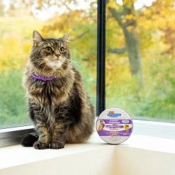 Hartz UltraGuard ProMax Flea & Tick Cat Collar, Purple, 2 count -Hart FurHavOfficial Shop 346138 PT8. SY630 V1643671322