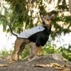 FurHaven Pro-Fit Dog Coat -Hart FurHavOfficial Shop 353080 MAIN. SY630 V1640640384