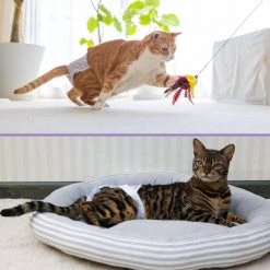 Hartz Disposable Cat Diaper, 10 count -Hart FurHavOfficial Shop 354605 PT2. SY630 V1639760557