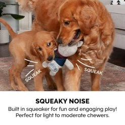 FurHaven Woodland Bear & Squirrel Plush Dog Toy, 2 count -Hart FurHavOfficial Shop 361998 PT4. SY630 V1642805202