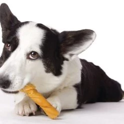 Hartz Oinkies Original Pig Skin Twists wtith Real Smoked Flavor Dog Treats, 40 count 10 Hartz Oinkies Original Pig Skin Twists wtith Real Smoked Flavor Dog Treats, 40 count -Hart FurHavOfficial Shop 363282 PT2. SY630 V1644275880