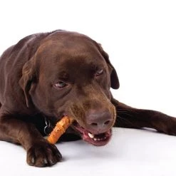 Hartz Oinkies Smoked Pig Skin Twists Wrapped with Real Chicken Dog Treats, 32 count -Hart FurHavOfficial Shop 363284 PT2. SY630 V1644275211