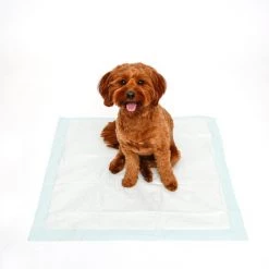 Hartz Home Protection Mountain Fresh Scent Odor Eliminating Dog Pads, XX-Large 12 Hartz Home Protection Mountain Fresh Scent Odor Eliminating Dog Pads, XX-Large -Hart FurHavOfficial Shop 363516 PT3. SY630 V1649931989