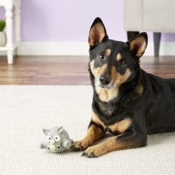 Hartz Zoo Balloons Squeaky Latex Dog Toy, Character Varies -Hart FurHavOfficial Shop 82678 PT3. SY630 V1589228481