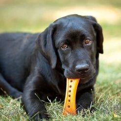 Hartz Chew 'n Clean Dental Duo Dog Treat & Chew Toy -Hart FurHavOfficial Shop 82684 PT2. SY630 V1589228636