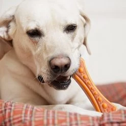 Hartz Chew 'n Clean Dental Duo Dog Treat & Chew Toy -Hart FurHavOfficial Shop 82684 PT3. SY630 V1589228637