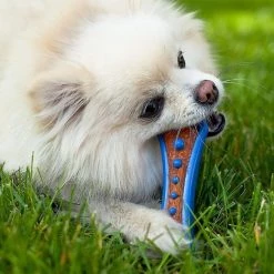 Hartz Chew 'n Clean Dental Duo Dog Treat & Chew Toy -Hart FurHavOfficial Shop 82684 PT4. SY630 V1589228638