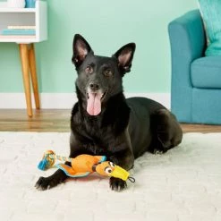 Hartz Tuff Stuff Nose Divers Squeaky Dog Toy, Color Varies -Hart FurHavOfficial Shop 82700 PT2. SY630 V1589228664